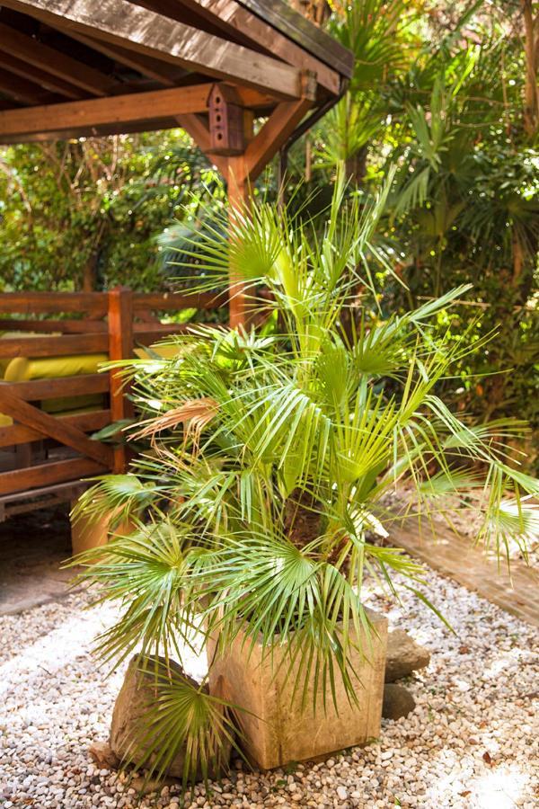 דירות בולוניה Urban Jungle מראה חיצוני תמונה